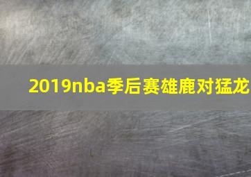 2019nba季后赛雄鹿对猛龙