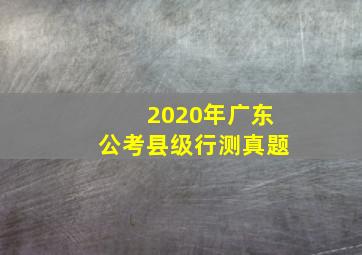 2020年广东公考县级行测真题