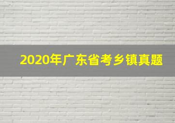 2020年广东省考乡镇真题