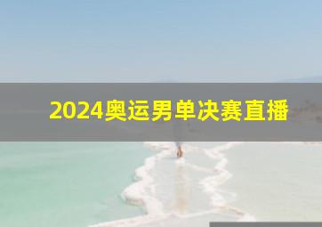 2024奥运男单决赛直播