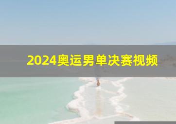 2024奥运男单决赛视频