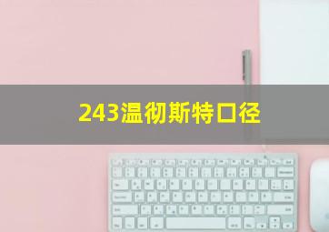 243温彻斯特口径