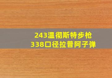 243温彻斯特步枪338口径拉普阿子弹