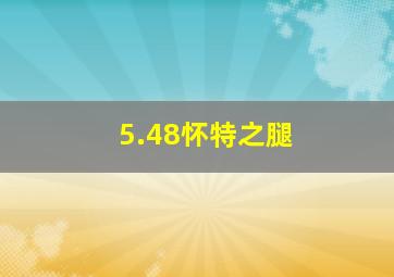 5.48怀特之腿