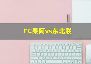 FC果阿vs东北联