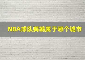 NBA球队鹈鹕属于哪个城市