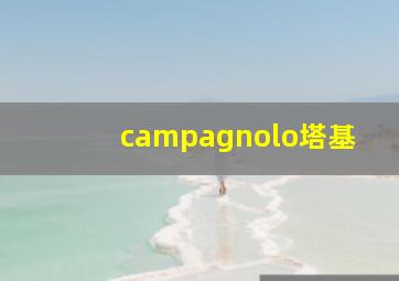 campagnolo塔基