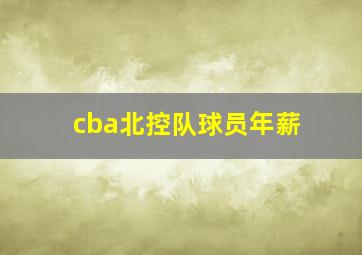 cba北控队球员年薪