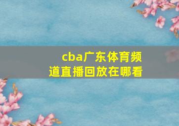 cba广东体育频道直播回放在哪看