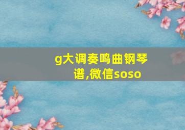 g大调奏鸣曲钢琴谱,微信soso