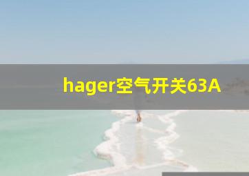 hager空气开关63A