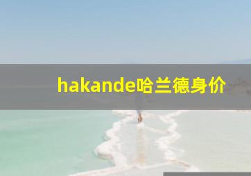 hakande哈兰德身价