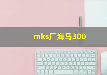 mks厂海马300