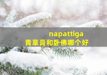 napattiga青草膏和卧佛哪个好