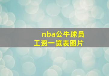 nba公牛球员工资一览表图片