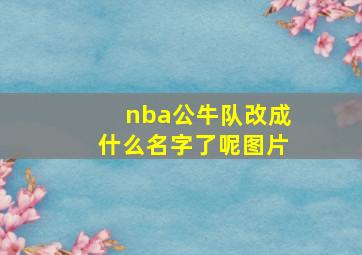 nba公牛队改成什么名字了呢图片