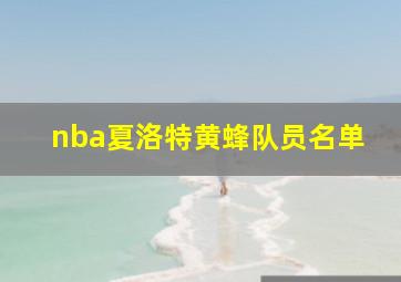 nba夏洛特黄蜂队员名单