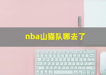 nba山猫队哪去了