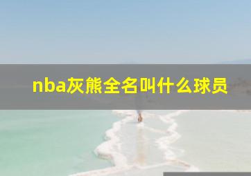 nba灰熊全名叫什么球员