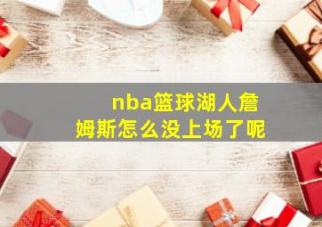 nba篮球湖人詹姆斯怎么没上场了呢