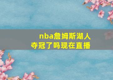 nba詹姆斯湖人夺冠了吗现在直播