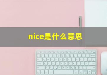 nice是什么意思