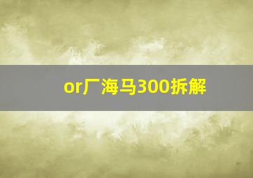 or厂海马300拆解