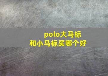 polo大马标和小马标买哪个好