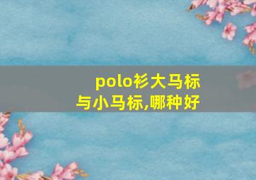 polo衫大马标与小马标,哪种好