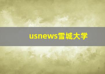 usnews雪城大学