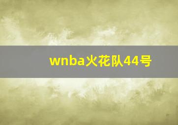 wnba火花队44号