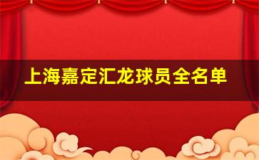 上海嘉定汇龙球员全名单