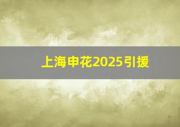 上海申花2025引援