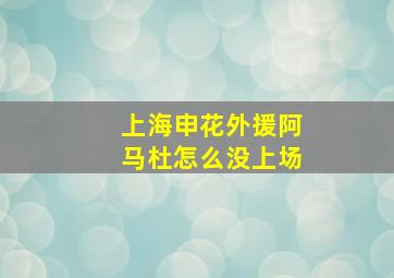 上海申花外援阿马杜怎么没上场