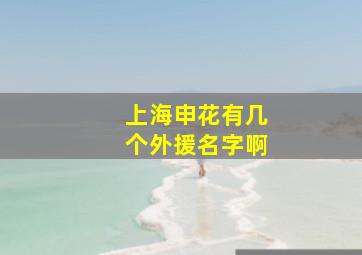 上海申花有几个外援名字啊