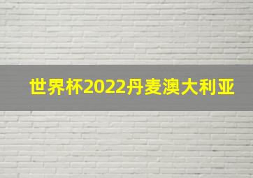 世界杯2022丹麦澳大利亚