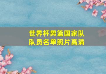 世界杯男篮国家队队员名单照片高清