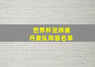 世界杯足球赛丹麦队阵容名单