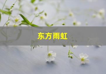 东方雨虹