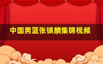 中国男篮张镇麟集锦视频