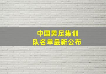 中国男足集训队名单最新公布