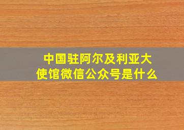 中国驻阿尔及利亚大使馆微信公众号是什么