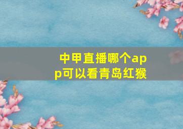 中甲直播哪个app可以看青岛红猴