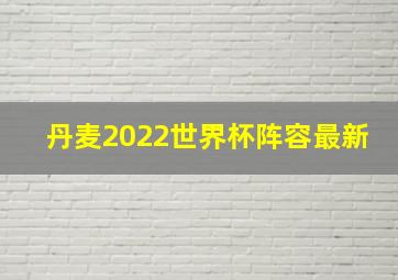 丹麦2022世界杯阵容最新