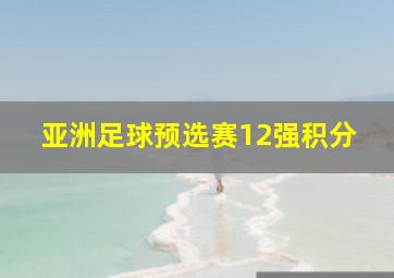 亚洲足球预选赛12强积分