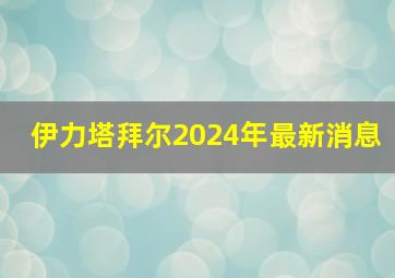 伊力塔拜尔2024年最新消息