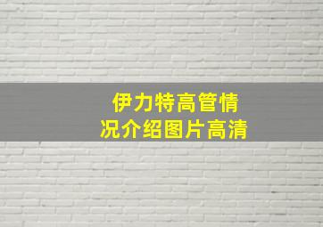 伊力特高管情况介绍图片高清