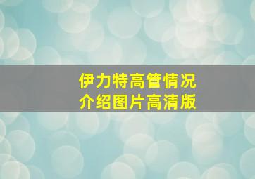 伊力特高管情况介绍图片高清版