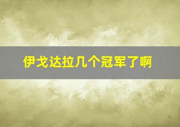 伊戈达拉几个冠军了啊