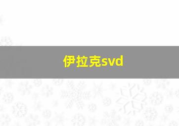 伊拉克svd